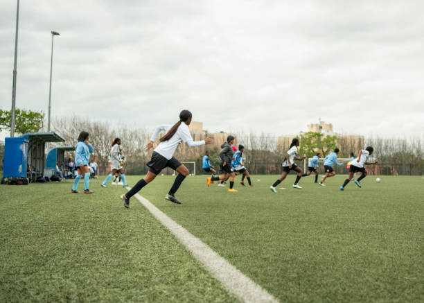 也展现了其 也展现了其